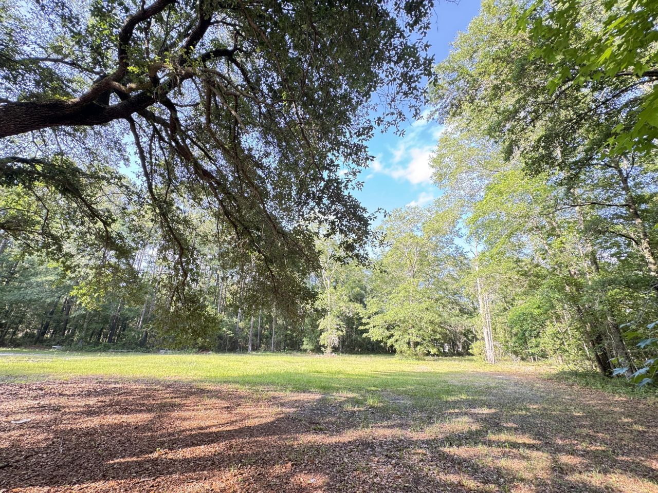 3486 Rehoboth Road Photo 84