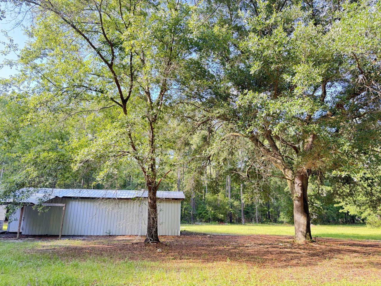 3486 Rehoboth Road Photo 86