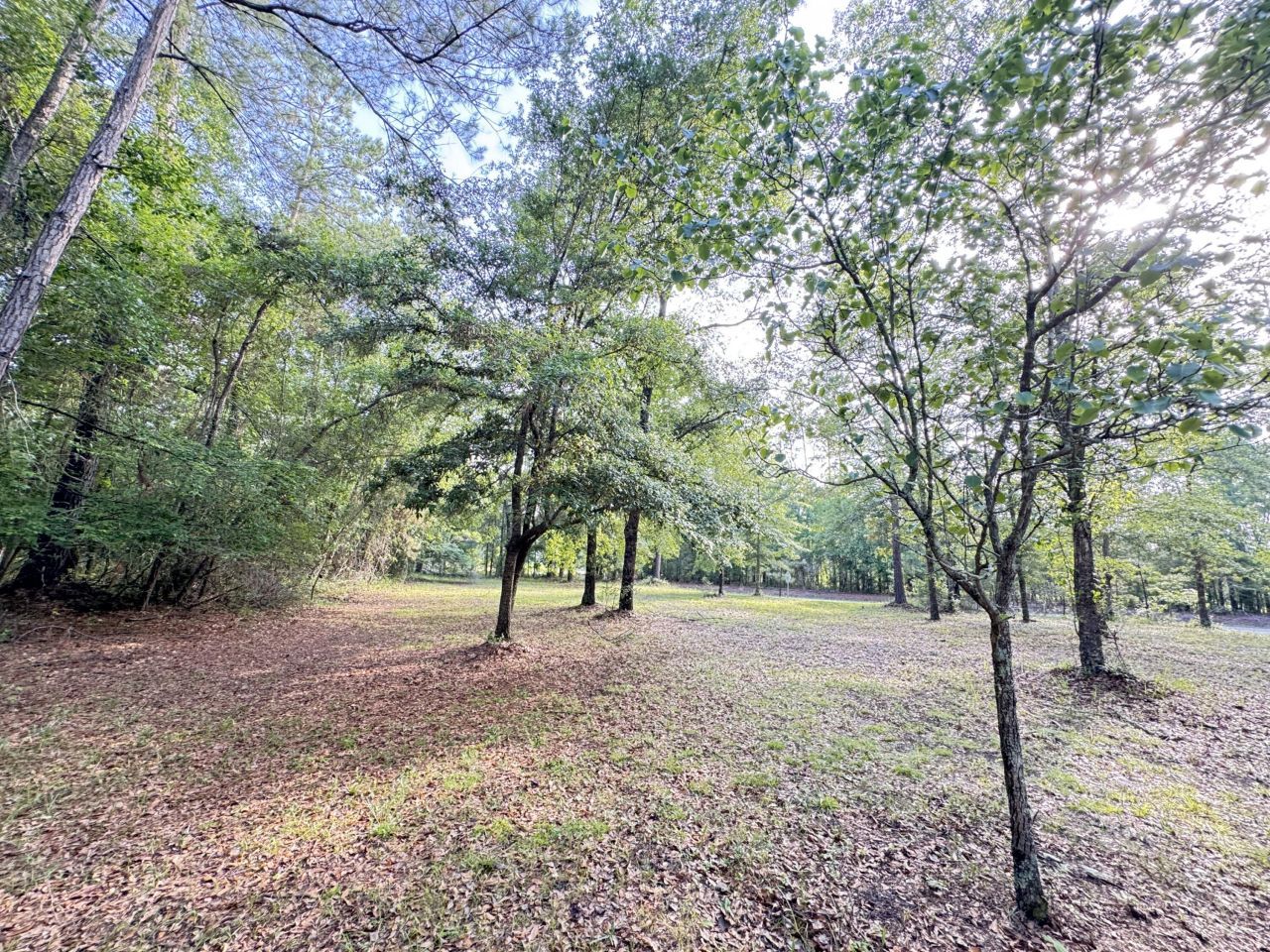 3486 Rehoboth Road Photo 90