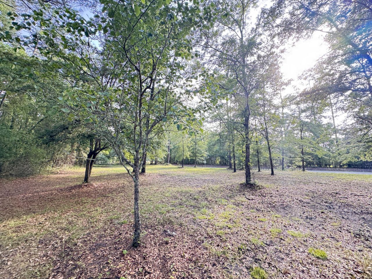 3486 Rehoboth Road Photo 91