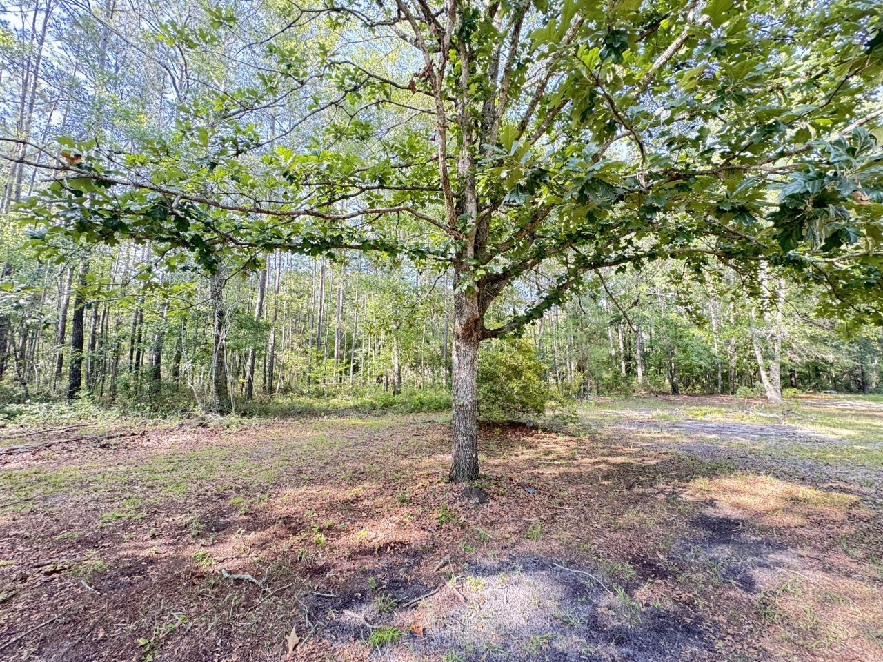 3486 Rehoboth Road Photo 95