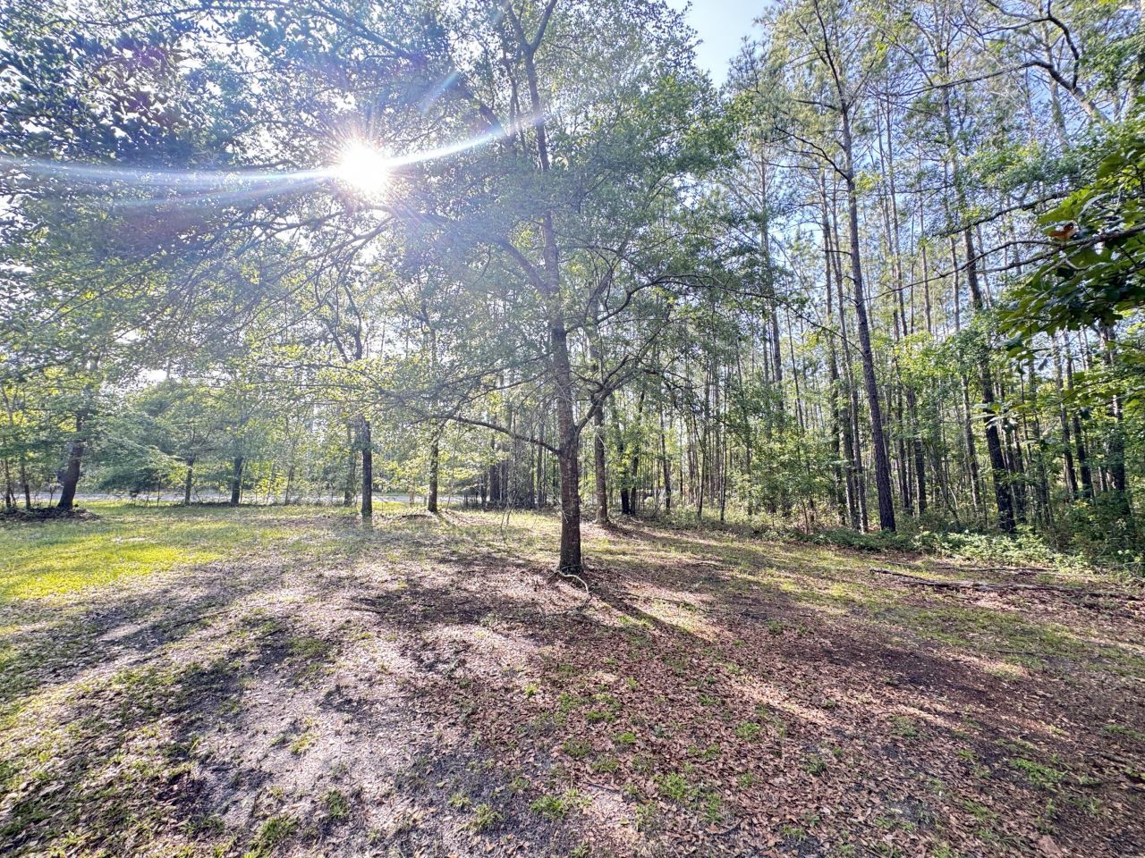 3486 Rehoboth Road Photo 96