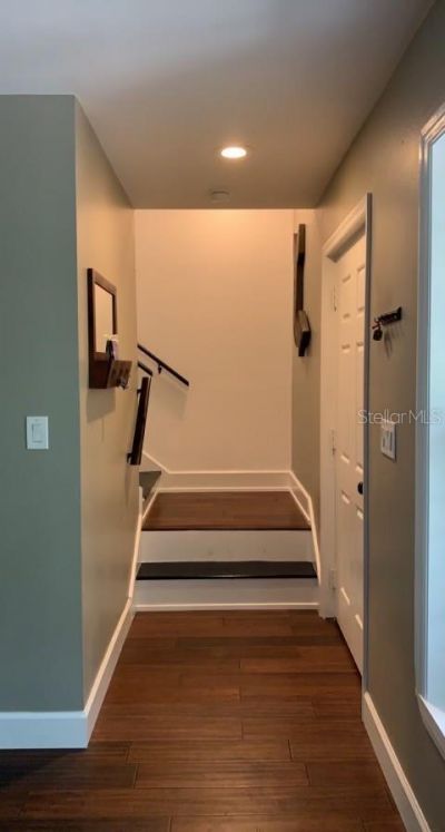 7152 Sandy Lane, Wesley Chapel, FL 33544 Photo