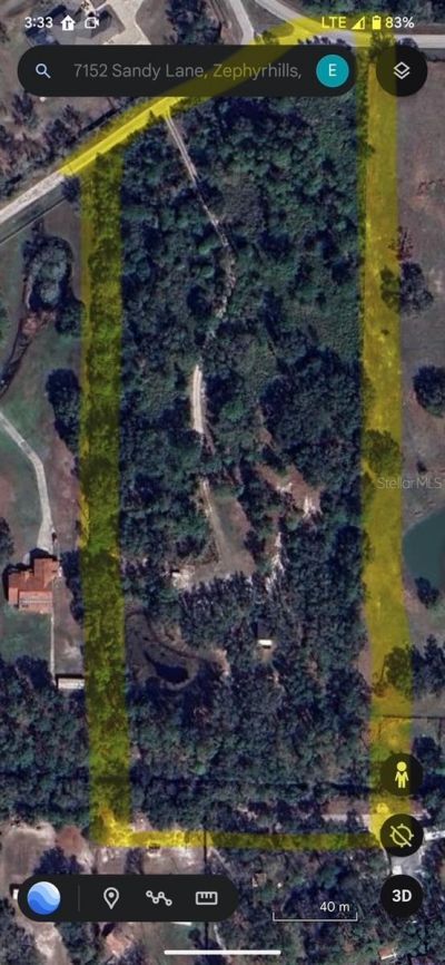 7152 Sandy Lane, Wesley Chapel, FL 33544 Photo