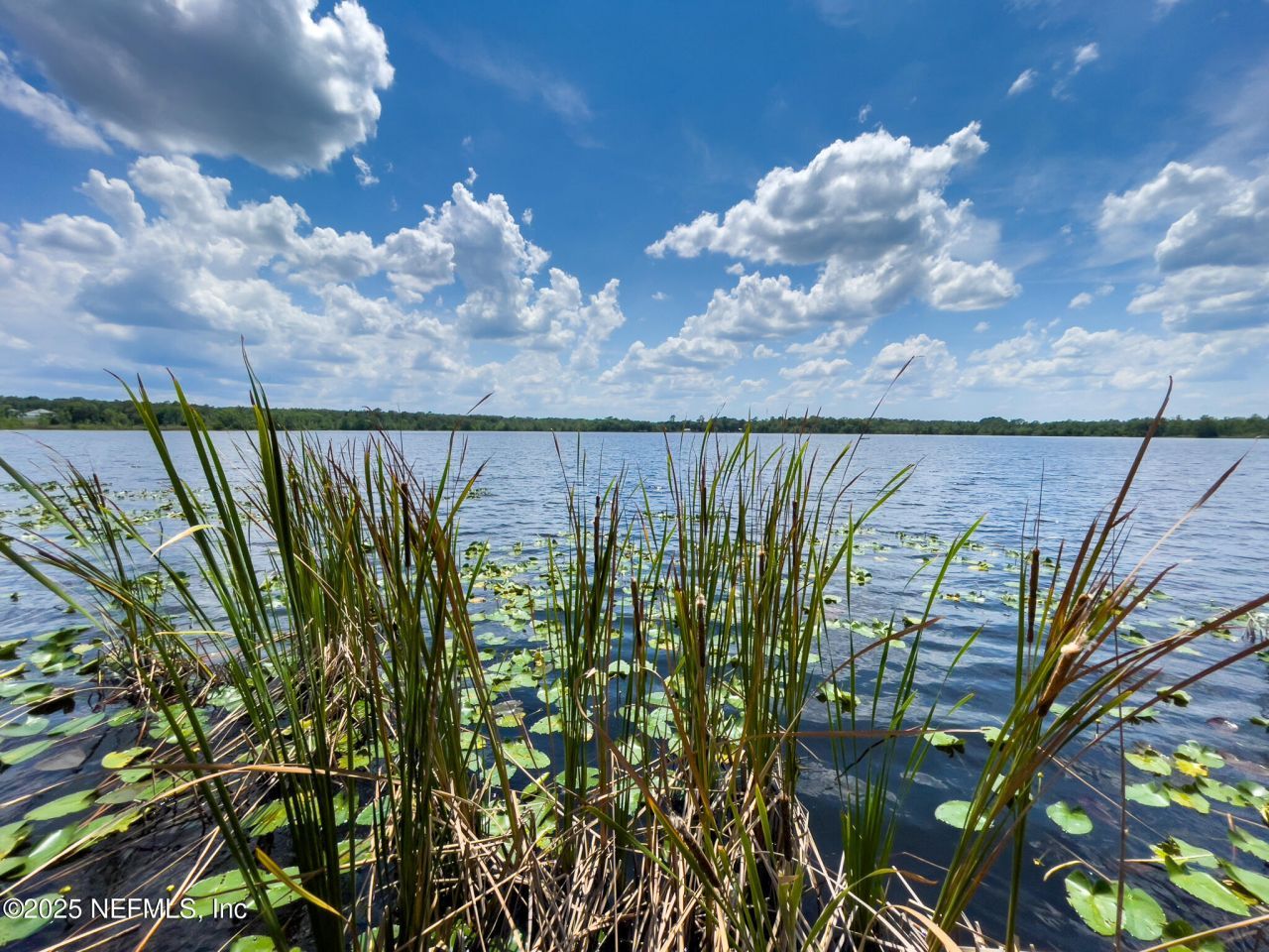 2292 SE 170th Avenue Road, Silver Springs, FL 34488 Photo