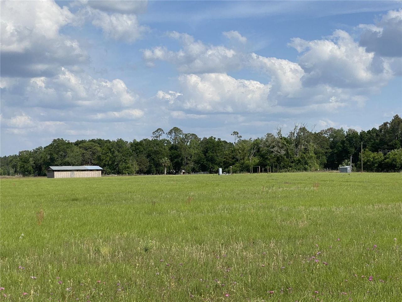 0 Sr 345, Chiefland, FL 32626 Photo