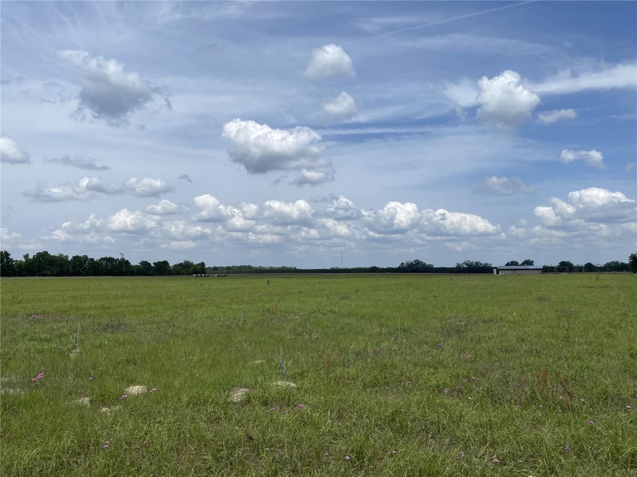 0 Sr 345, Chiefland, FL 32626 Photo