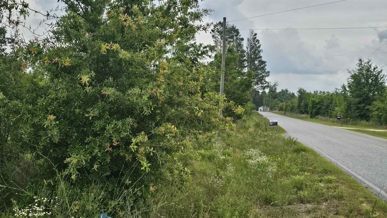 00 NE Beulah Church Road, Lee, FL 32059 Photo