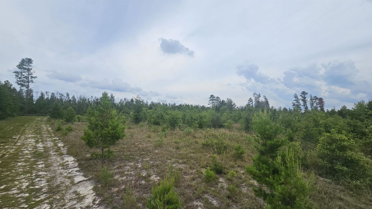 00 NE Beulah Church Road, Lee, FL 32059 Photo