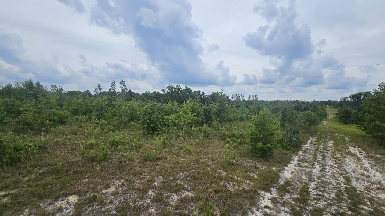 00 NE Beulah Church Road, Lee, FL 32059 Photo