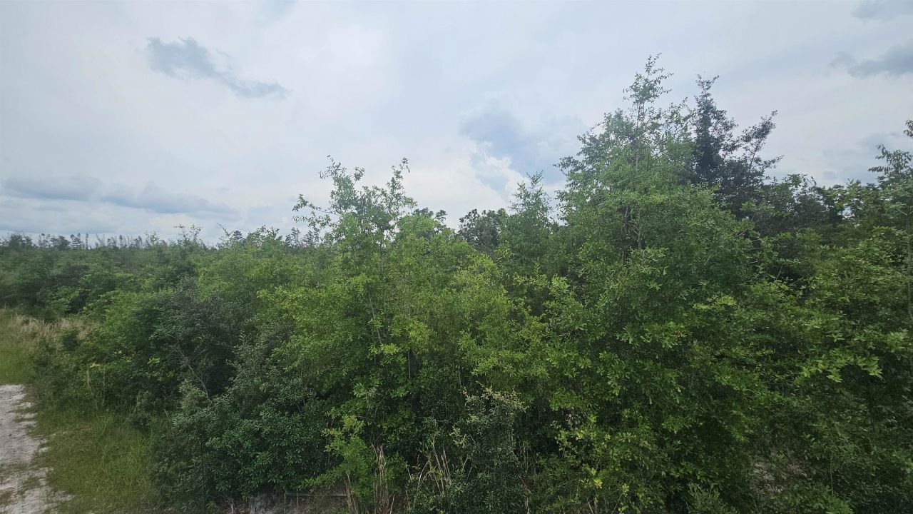 00 NE Beulah Church Road, Lee, FL 32059 Photo