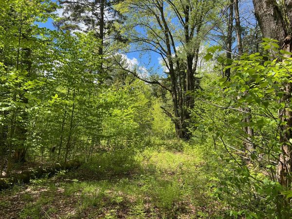 0 Bragg Hill Road, Unit 3, Fayston, VT 05673