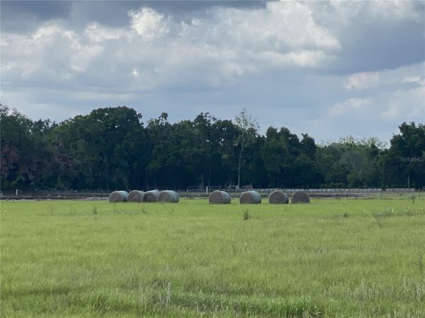 0 SR 345, CHIEFLAND, FL 32626