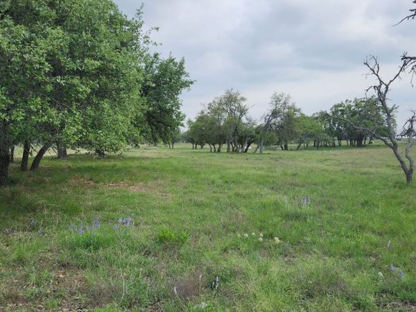 153 Fallow Dr, Harper, TX 78631