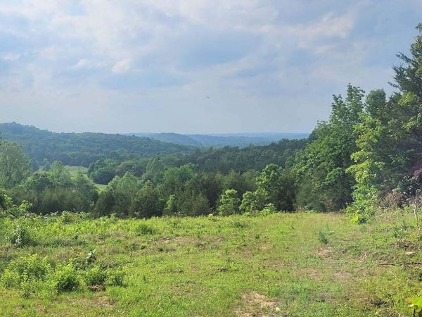 239 N Wilson Wells Rd, Evening Shade, AR 72569