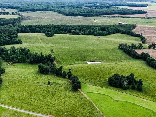 0 David Patterson Rd, Lutts, TN 38471