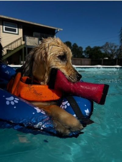 7705 Gardner Road, Tampa, FL 33625 Photo