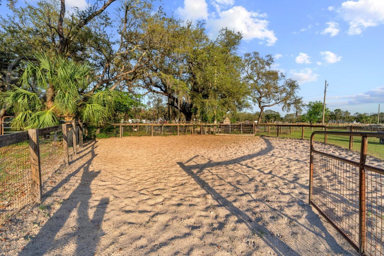 7705 Gardner Road, Tampa, FL 33625 Photo