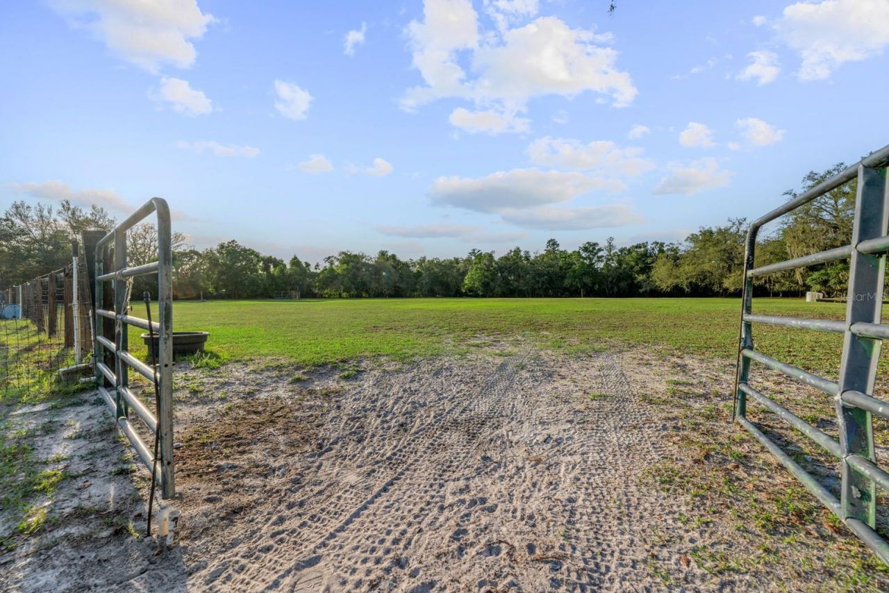 7705 Gardner Road, Tampa, FL 33625 Photo