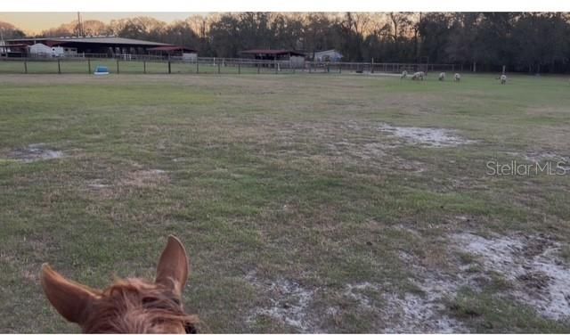 7705 Gardner Road, Tampa, FL 33625 Photo