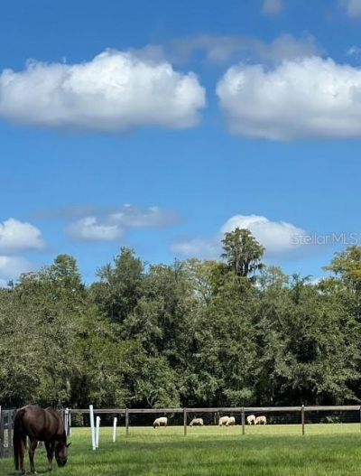 7705 Gardner Road, Tampa, FL 33625 Photo