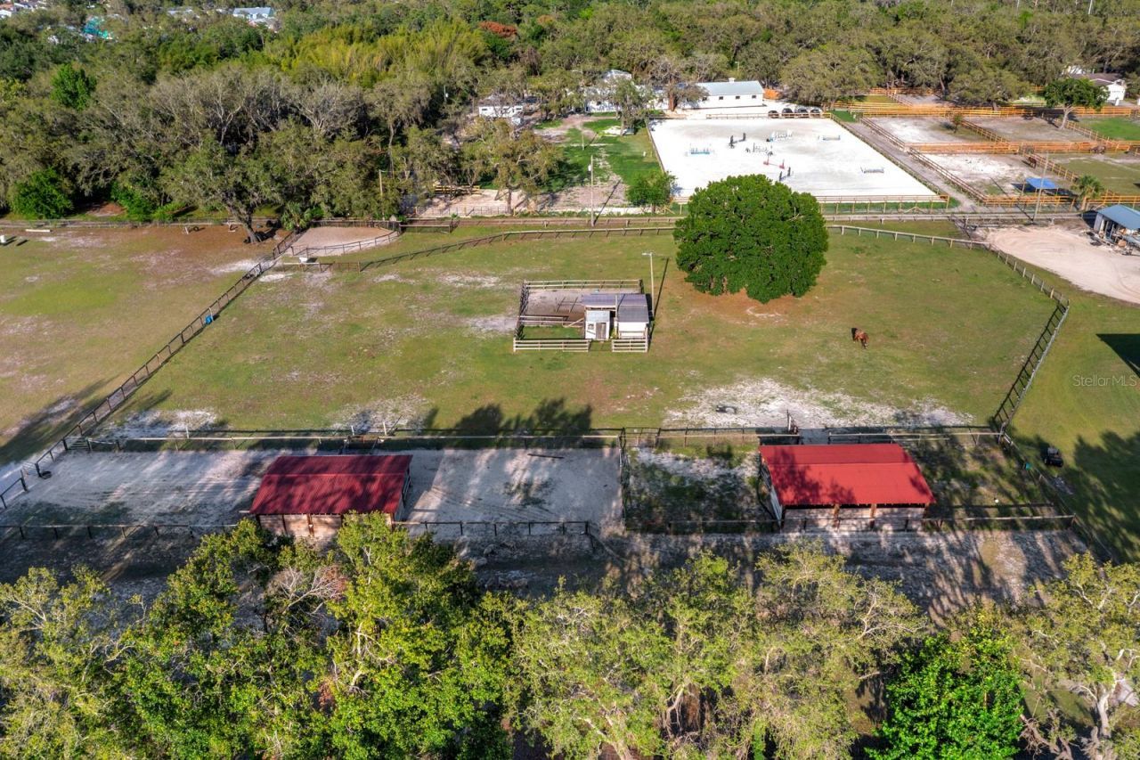 7705 Gardner Road, Tampa, FL 33625 Photo