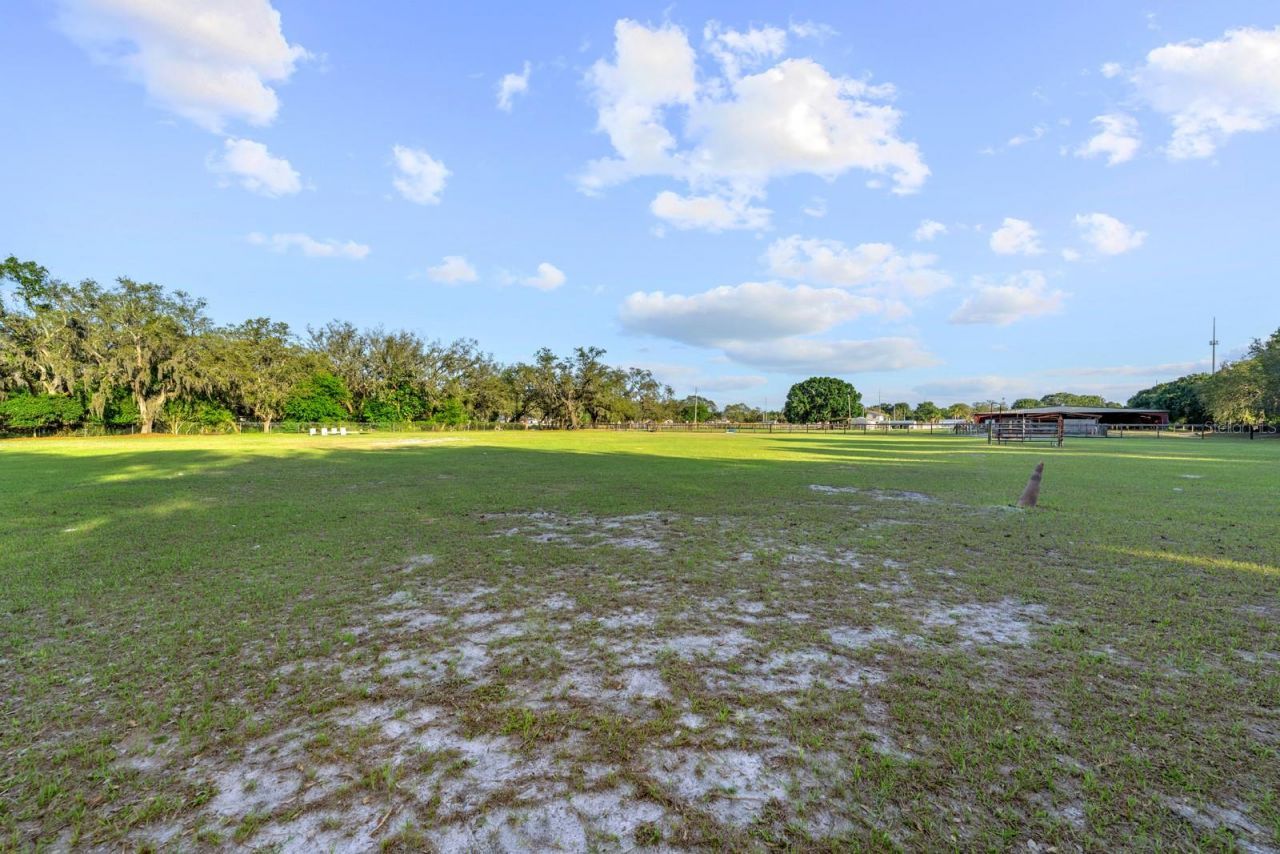 7705 Gardner Road, Tampa, FL 33625 Photo