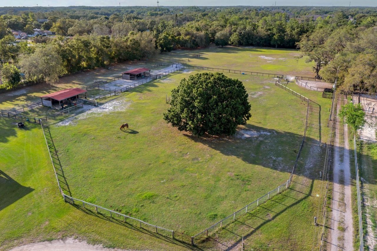 7705 Gardner Road, Tampa, FL 33625 Photo