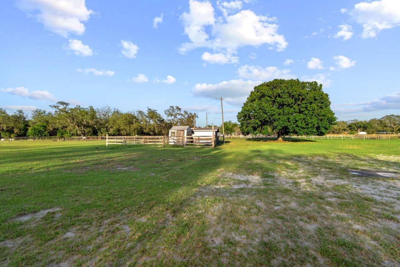 7705 Gardner Road, Tampa, FL 33625 Photo