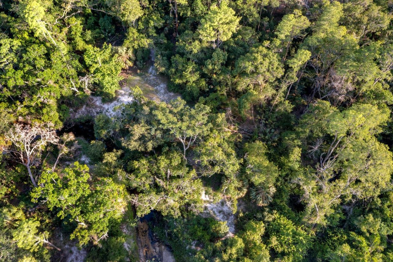 7705 Gardner Road, Tampa, FL 33625 Photo