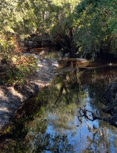 7705 Gardner Road, Tampa, FL 33625 Photo