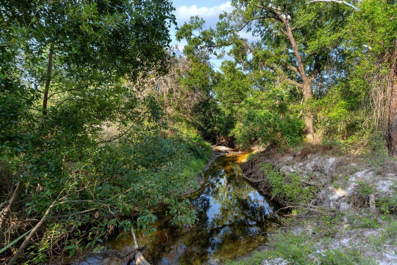 7705 Gardner Road, Tampa, FL 33625 Photo