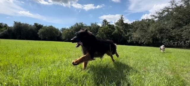 7705 Gardner Road, Tampa, FL 33625 Photo