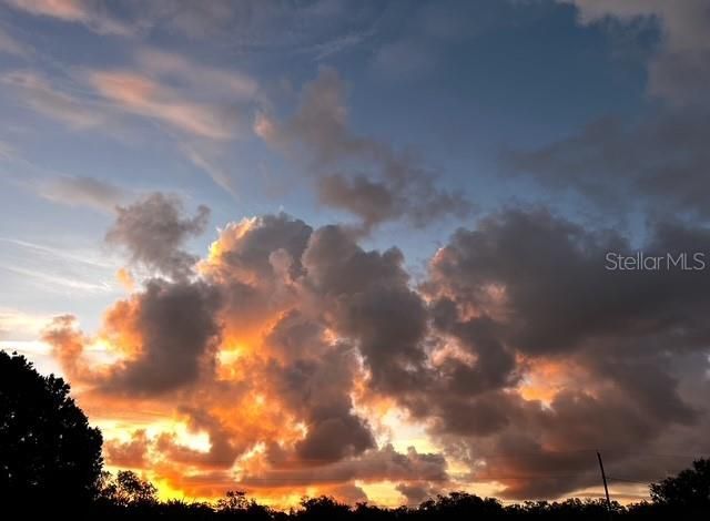 7705 Gardner Road, Tampa, FL 33625 Photo