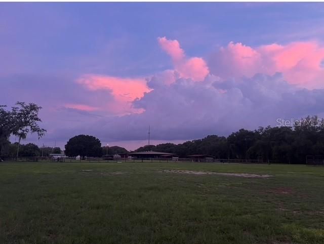 7705 Gardner Road, Tampa, FL 33625 Photo