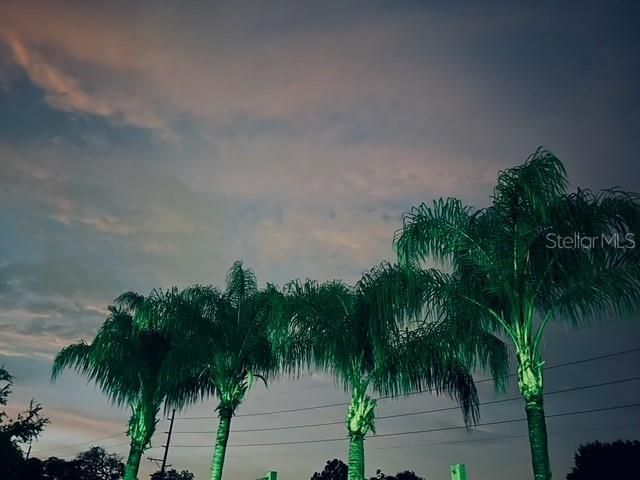 7705 Gardner Road, Tampa, FL 33625 Photo