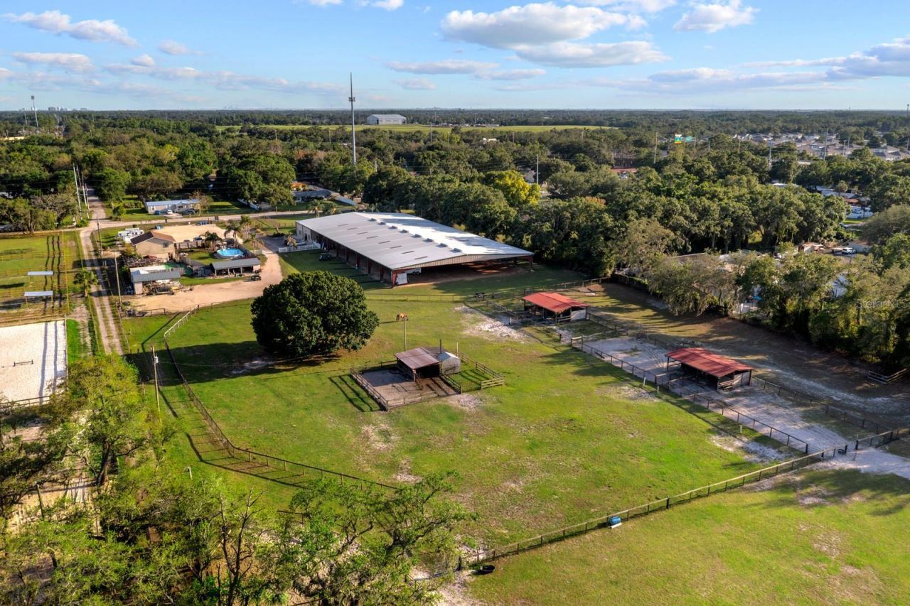 7705 Gardner Road, Tampa, FL 33625 Photo