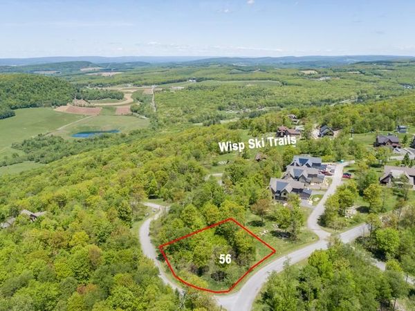Lot 56 ROCKY CAMP ROAD, MC HENRY, MD 21541