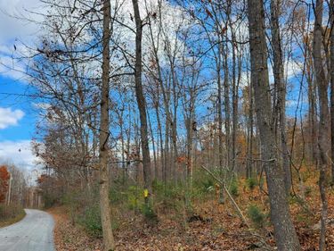 0 Major Grahams Road, Wytheville, VA 24382