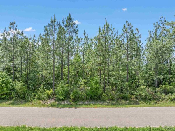 Lot 52 Mineral Springs Rd, Jay, FL 32565