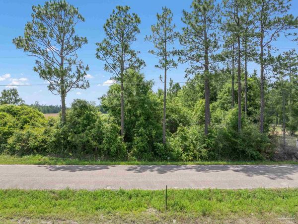 Lot 54 Mineral Springs Rd, Jay, FL 32565