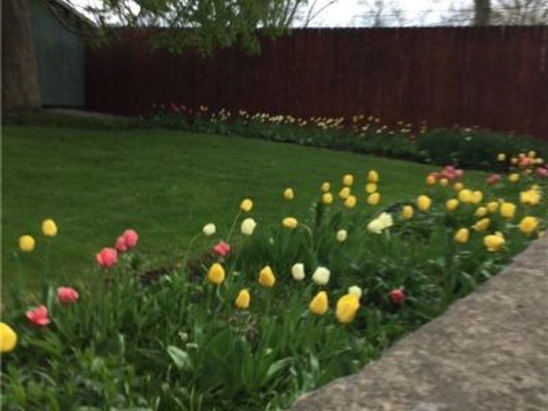 4522 7th Street SW, Canton, OH 44710 Photo 17