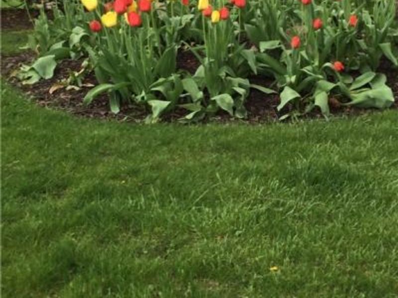 4522 7th Street SW, Canton, OH 44710 Photo 21