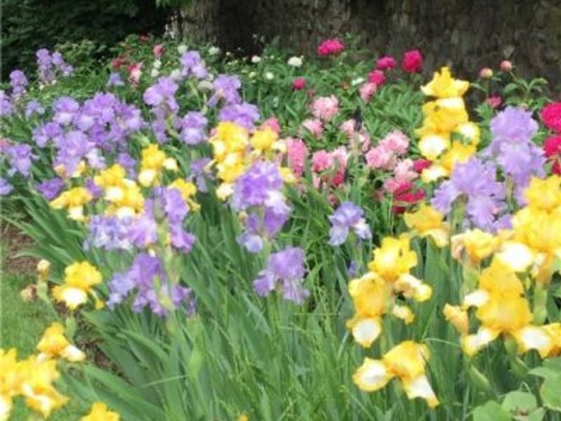 4522 7th Street SW, Canton, OH 44710 Photo 22