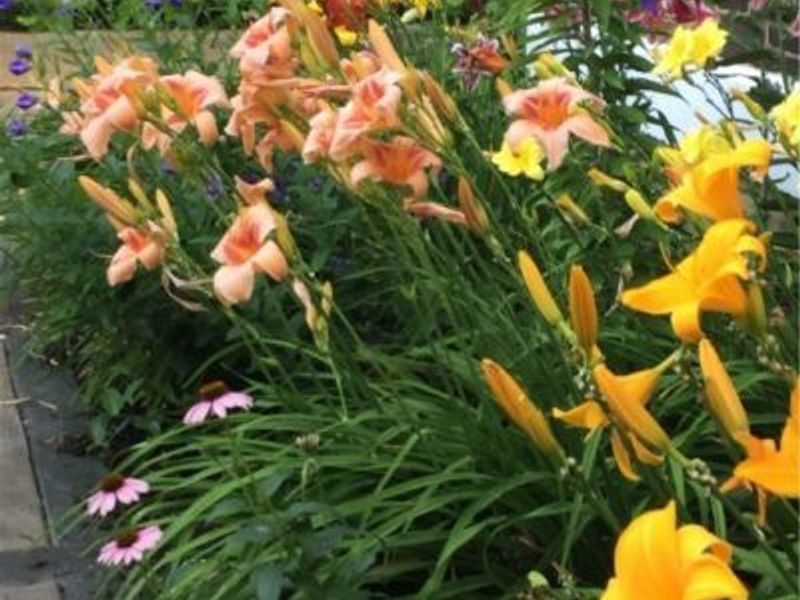 4522 7th Street SW, Canton, OH 44710 Photo 23