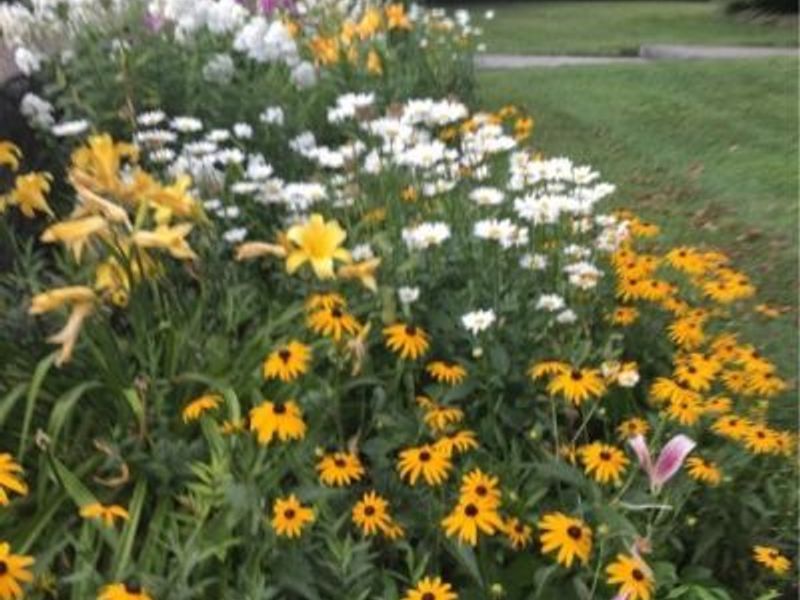 4522 7th Street SW, Canton, OH 44710 Photo 26