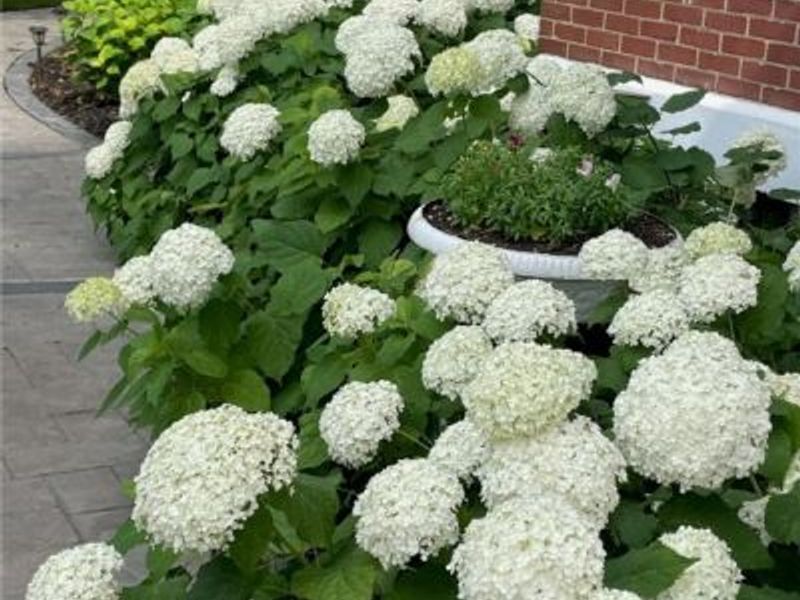 4522 7th Street SW, Canton, OH 44710 Photo 29