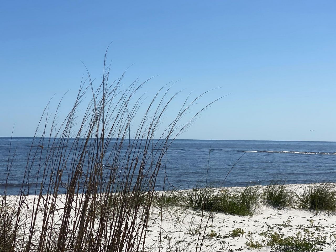 641 Bald Point Road, Alligator Point, FL 32346 Photo