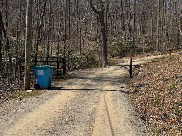 99999 Long Branch Road, Swannanoa, NC 28778