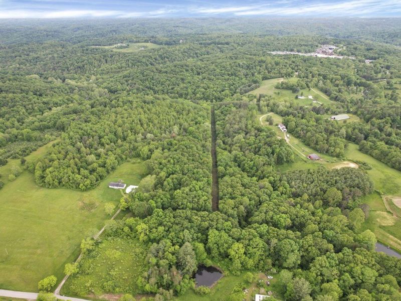 11250 Grass Run Road, New Marshfield, OH 45766 Photo 15